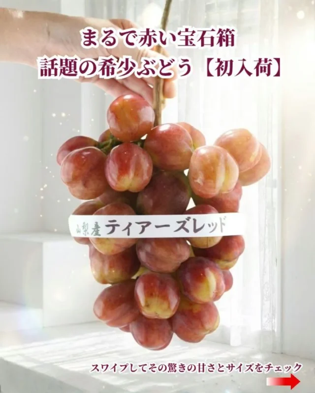 ​【初入荷】ブドウ農家が息をのんだ“伝説の品種”🍇
    超希少ぶどう『山梨県産 ティアーズレッド』が届きました！ 
    ​このブドウを生み出したのは、長野県生坂村で「関口ティダ農園」を営む関口孝さん。
    ネットやスマホも持たず、自身の畑とひたむきに向き合い続ける、知る人ぞ知る名育種家です。 
    ​関口さんが情熱を注いで生み出したティアーズレッドは、2014年のブドウ農家の品評会に登場するやいなや、あの超高級ぶどう「ルビーロマン」に大差をつけて見事1位を獲得！
    農家たちの間で一大センセーションを巻き起こしました。 
    ​しかし、実が大きすぎて袋が裂けてしまったり、綺麗に赤く色づかせるのが極めて難しかったりと、栽培のハードルは規格外。
    大手業者に苗木が出回ることもなく、いつしか“幻の品種”と呼ばれるようになりました。 
    ​そんなこだわりと情熱の結晶が、今回奇跡の初入荷です！
    ​✔ スモモに匹敵する圧倒的なサイズ（1粒30g〜最大50g超え！）
    ✔ ゴルフボールと並んでも見劣りしない超巨粒
    ✔ 種なし＆皮ごとサクッと心地よい食感
    ✔ 実測で糖度21度超え！驚きの甘みと爽やかな後味 
    ​一口かじれば、弾ける果汁と芳醇な甘みが口いっぱいに広がります。
    一粒ごとの食べ応えは、他のどのブドウとも比べものになりません。 
    ​特別感をそのままお届けする桐箱仕立てや厳選ギフト箱をご用意しています。
    大切な方への贈り物にも、ブドウ好きの方への特別なサプライズにも心からおすすめです。 
    ​※大変希少なため、数量限定でのご案内となります✨
    お気軽に店頭または、お電話にてお問い合わせください。 
    ​ーーーーーーーーーーーーーーーー
    (有)アオイ農園　ぶどうの木
    大阪府和泉市葛の葉町3-3-11
    (お車などでナビゲーションシステムを利用される場合は、番地を3-3-14でセットしてください。)
    TEL:0725-41-6955
    営業時間
    アオイ農園　9:00〜21:00
    ぶどうの木　10:00〜20:00
    Lumiere du ciel  10:00〜21:00
    ーーーーーーーーーーーーーーーー
    ​#ティアーズレッド
    #幻のぶどう
    #超希少 
    #ぶどう好き 
    #初入荷